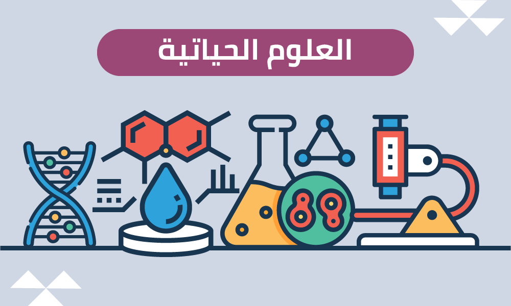 العلوم والحياة الفصل الأول – الصف التاسع 
